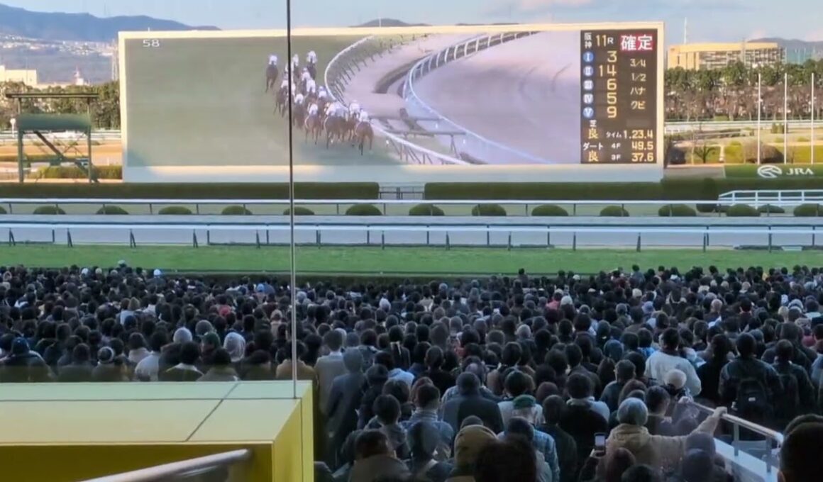 2025年　有馬記念@阪神競馬場