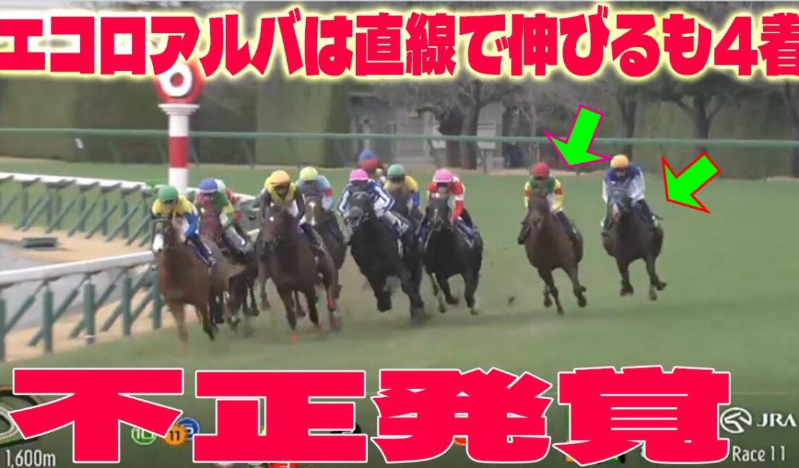 【朝日杯FS】エコロアルバ4着にファン批判！「すごくいい馬」なのに何故負けた？【不正発覚 !?】大変な事態が発生!  松山弘平騎手のとある問題発言がヤバすぎた…