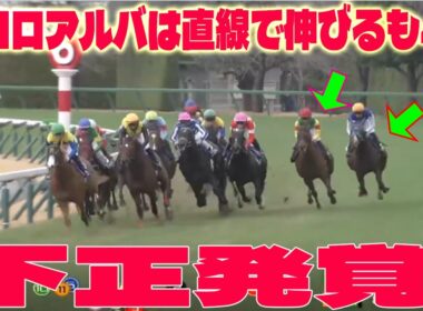 【朝日杯FS】エコロアルバ4着にファン批判！「すごくいい馬」なのに何故負けた？【不正発覚 !?】大変な事態が発生!  松山弘平騎手のとある問題発言がヤバすぎた…