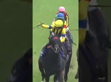 #shorts 2025 安田記念 #ジャンタルマンタル #川田将雅