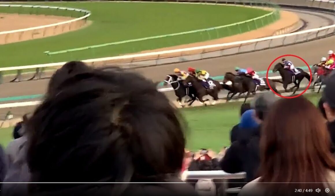 第42回 ホープフルステークスGI ロブチェン差し切り勝ち（表彰式：仲村トオルさん） 2025/12/27 中山競馬場