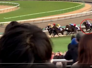 第42回 ホープフルステークスGI ロブチェン差し切り勝ち（表彰式：仲村トオルさん） 2025/12/27 中山競馬場