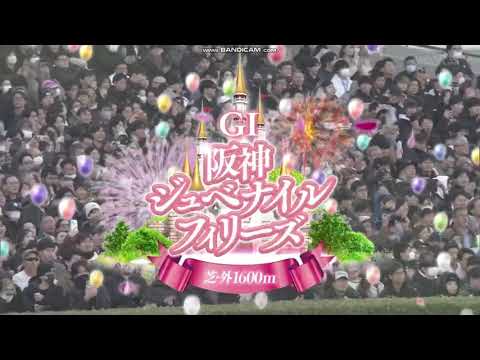 2025年 阪神ジュベナイルフィリーズ（GⅠ）ファンファーレ