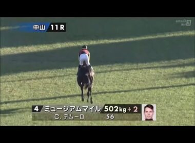 2025年第70回グランプリ有馬記念〔GⅠ〕本馬場入場