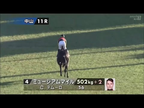 2025年第70回グランプリ有馬記念〔GⅠ〕本馬場入場
