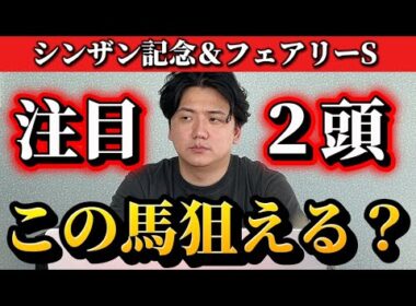 【シンザン記念&フェアリーステークス2026】【予想】今年のクラシックに向けて素質馬達がでてきます