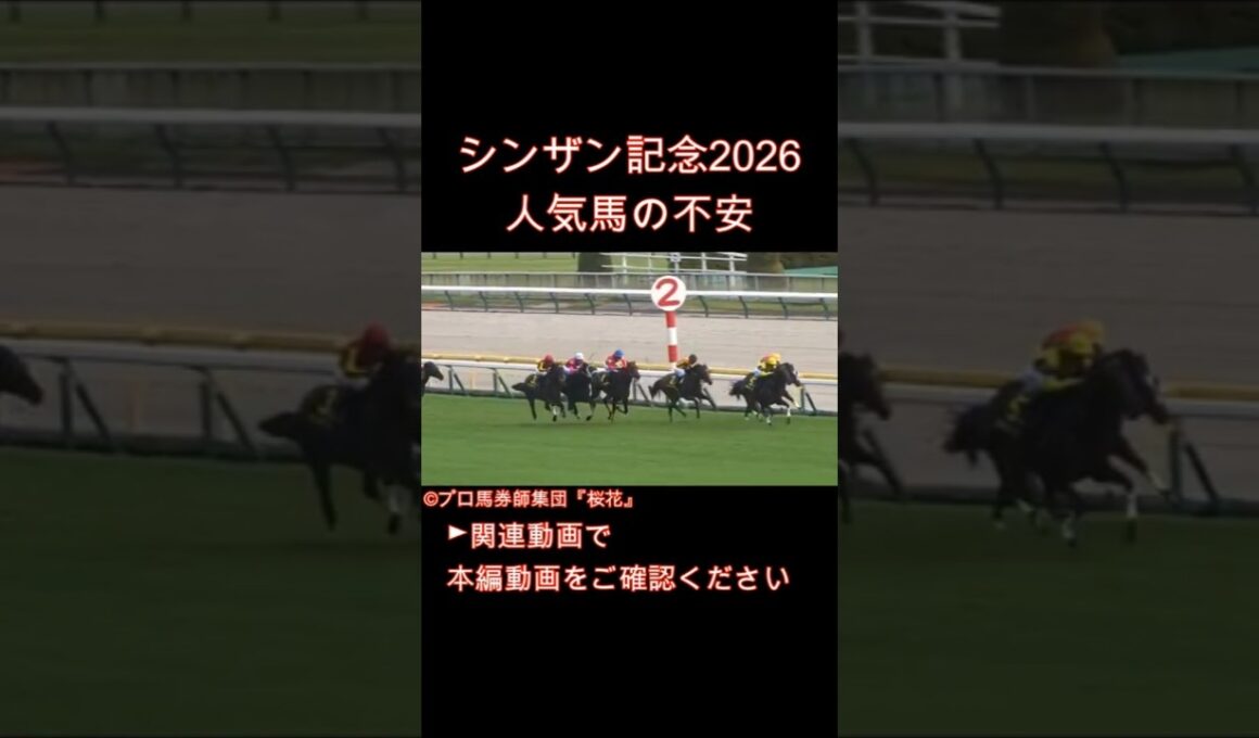 【シンザン記念2026】その人気馬、危険かも？モノポリオ・アルトラムス・バルセシートの不安点とは