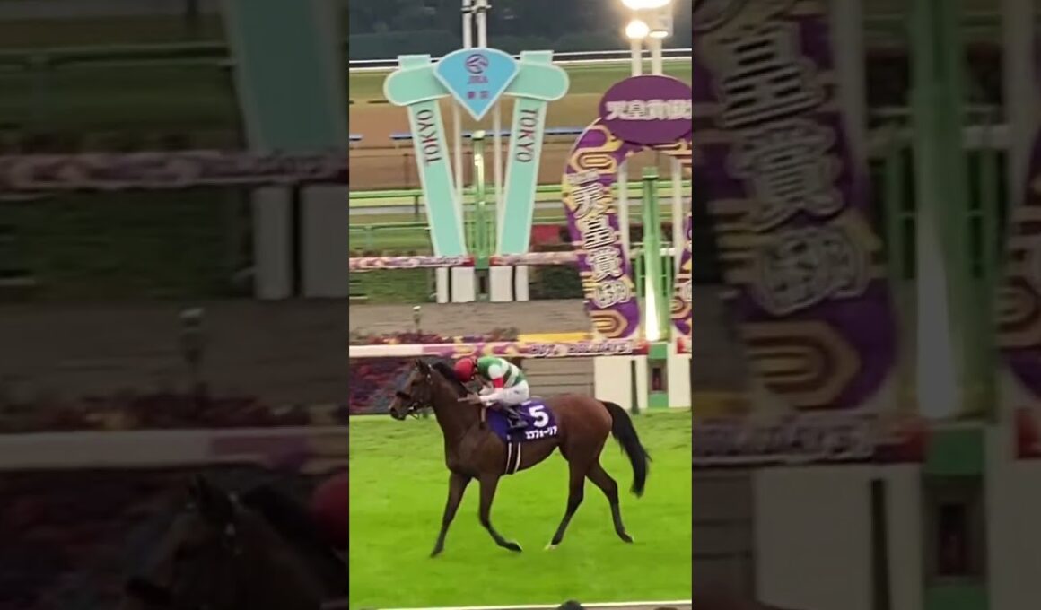 エフフォーリア 天皇賞（秋）ウイニングラン