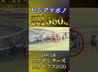 ヒシアケボノ【1995年スプリンターズステークス(GI)】#競馬 #shorts #スプリンターズs #ヒシアケボノ