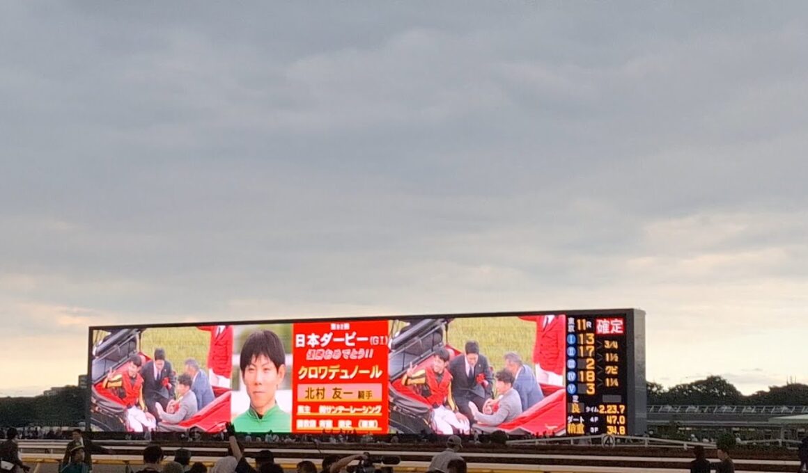 2025/6/1 東京競馬場 日本ダービー 東京優駿 馬車 (自分用)