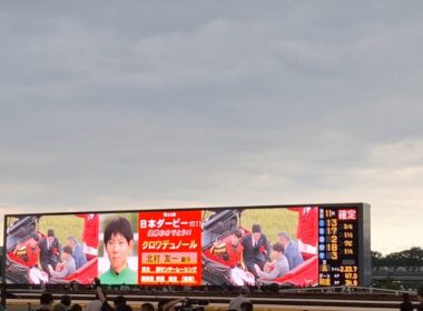 2025/6/1 東京競馬場 日本ダービー 東京優駿 馬車 (自分用)