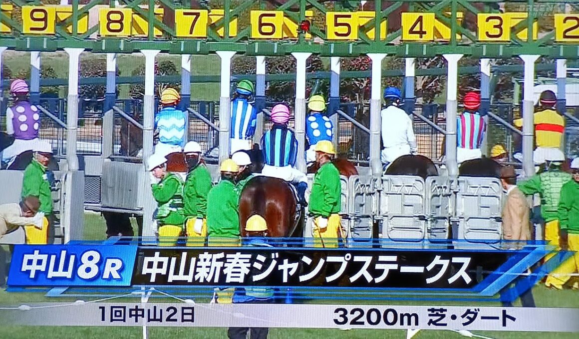 中山8レース中山新春ジャンプステークス コンテナワールド