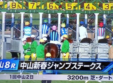 中山8レース中山新春ジャンプステークス コンテナワールド