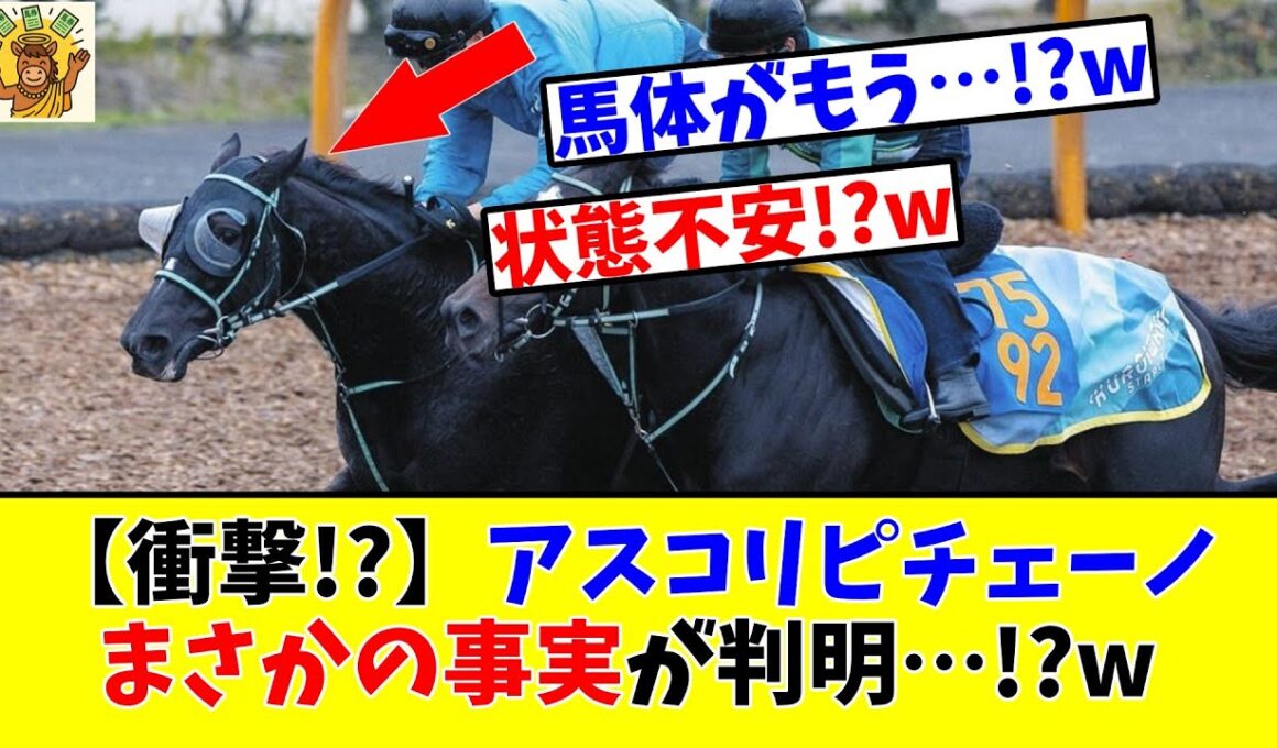 【マイルCS】【衝撃!?】アスコリピチェーノまさかの事実が判明…!?www