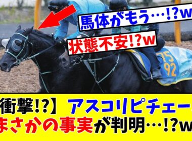 【マイルCS】【衝撃!?】アスコリピチェーノまさかの事実が判明…!?www