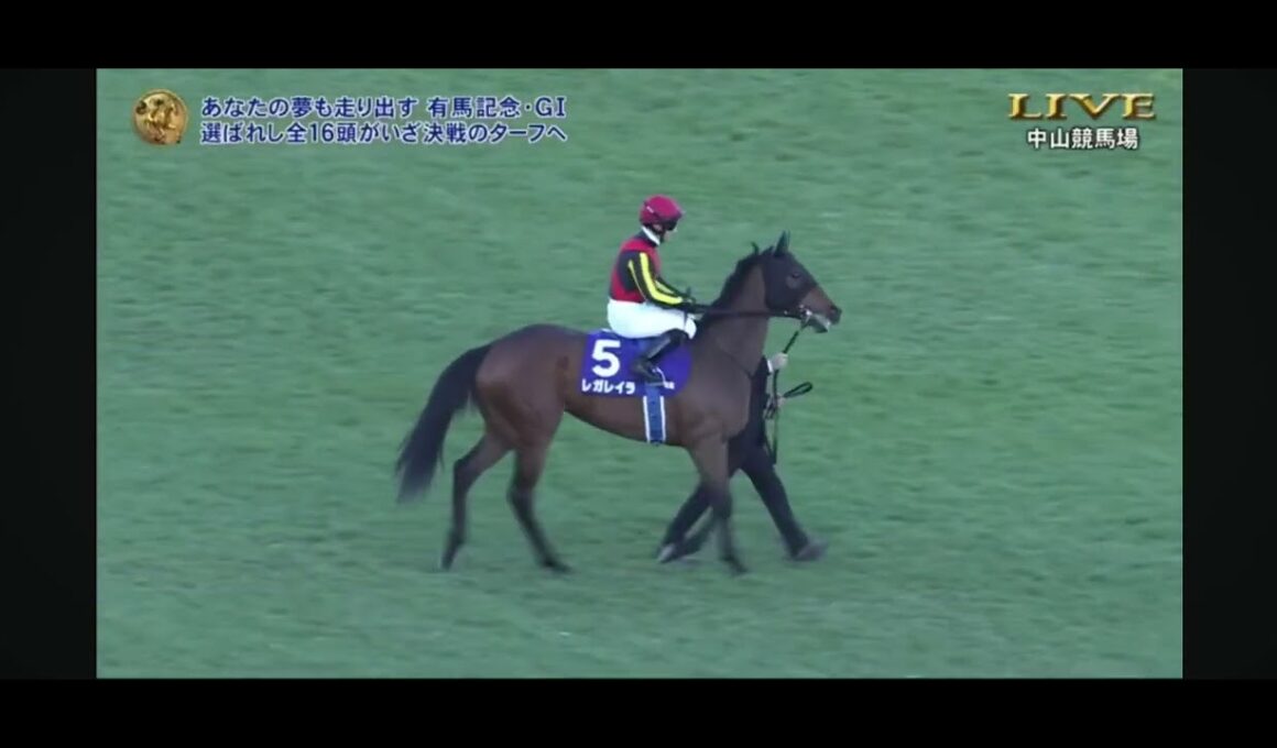 2025年第70回有馬記念G1 本馬場入場