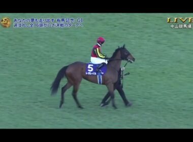 2025年第70回有馬記念G1 本馬場入場