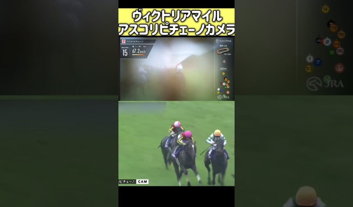 ルメール騎手カメラ ヴィクトリアマイル アスコリピチェーノ