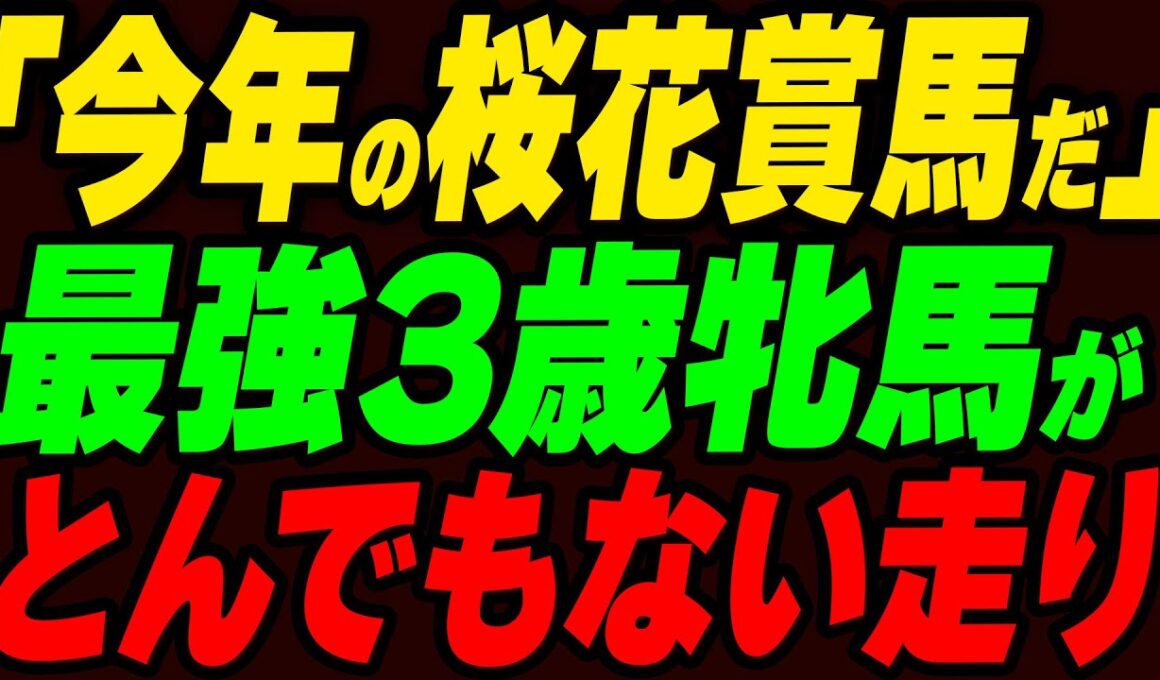 「今年の桜花賞馬だ！」最強3歳牝馬が圧倒的パフォーマンスを見せる