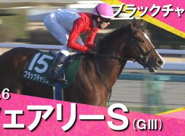 2026年フェアリーステークス(ＧⅢ) ブラックチャリス【カンテレ公式】