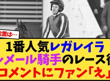 【有馬記念】1番人気レガレイラ、ルメール騎手のレース後コメントにファン｢え｣【競馬反応集】