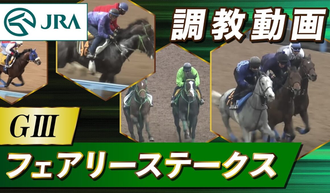 【調教動画】2026年 フェアリーステークス｜JRA公式