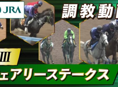 【調教動画】2026年 フェアリーステークス｜JRA公式