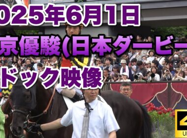 【4K動画】2025年東京優駿(日本ダービー)パドック【クロワデュノール】
