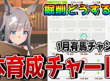 【ウマ娘】1月チャンミ「有馬記念」の本育成用チャートを公開！ スキルPt8000以上を稼ぎつつ、ステータスを盛るための掘削ルートとは！？【1月チャンピオンズミーティングLONG攻略】