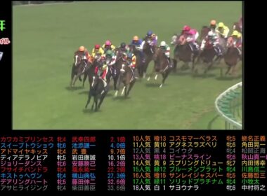 2007年　ヴィクトリアマイル　コイウタ　　#ウマ娘#スイープトウショウ#カワカミプリンセス#競馬#jra#武豊#馬#競走馬#ウマ娘プリティーダービー