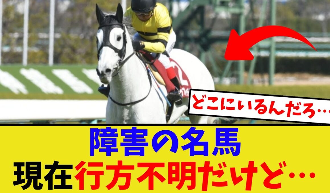 アップトゥデイト、現在行方不明だけど…【競馬反応集】