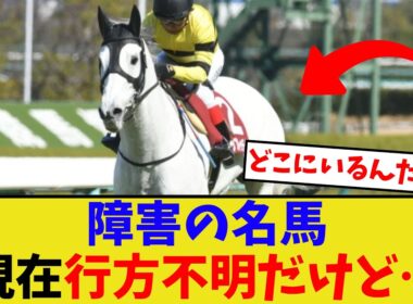 アップトゥデイト、現在行方不明だけど…【競馬反応集】