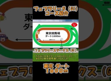 フェブラリーＳコース紹介