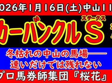 カーバンクルステークス2026予想｜冬枯れの馬場×中山1200の罠…速さだけでは残れない理由