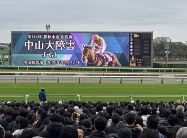 【現地】2025年 中山大障害 エコロデュエル 草野太郎 スタート〜ウイニングラン
