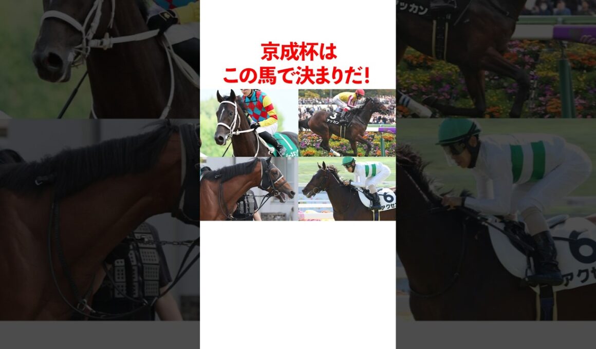 京成杯はこの馬で決まりだ！