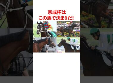 京成杯はこの馬で決まりだ！