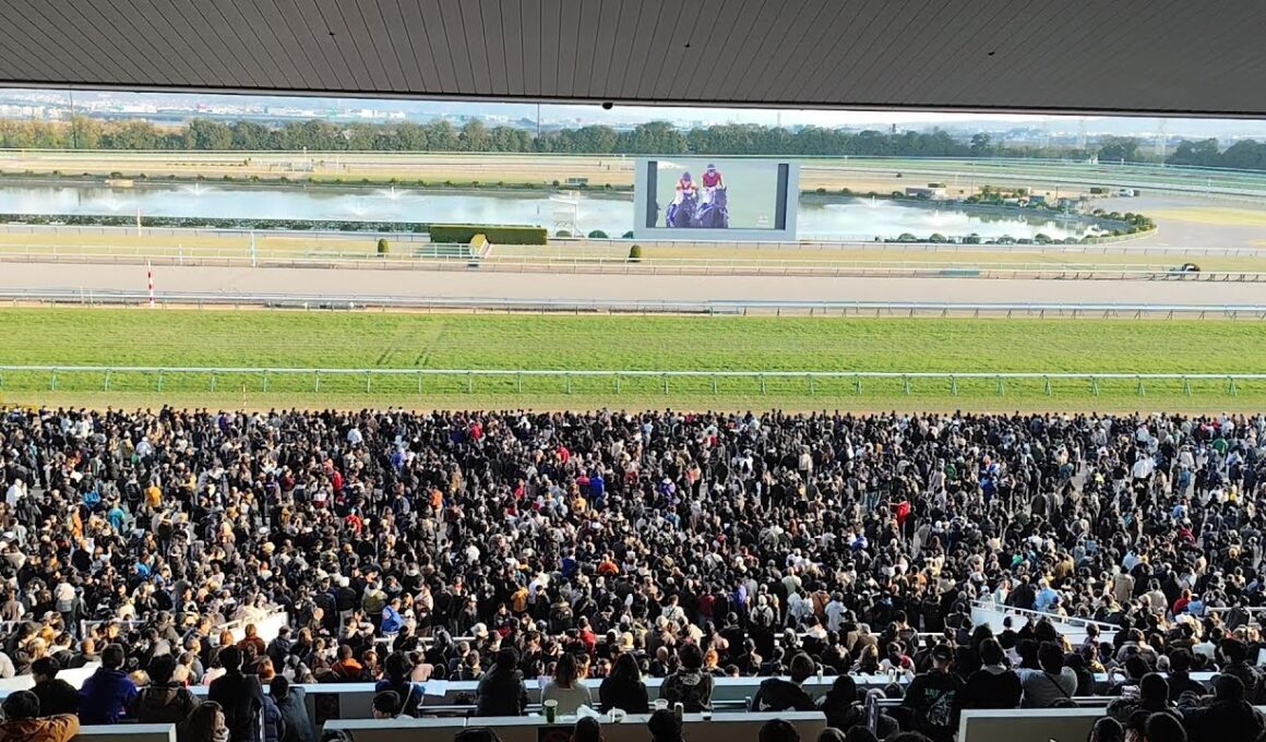 ２０２５年有馬記念、大歓声の京都競馬場パークウィンズ。