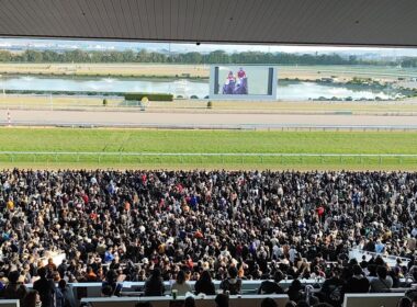 ２０２５年有馬記念、大歓声の京都競馬場パークウィンズ。