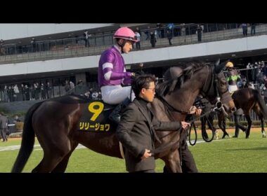リリージョワ 桜花賞候補に名乗りを上げる圧勝劇！ 現地映像まとめ (紅梅ステークス2026)