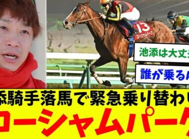 【宝塚記念】ローシャムパーク池添落馬で大ピンチに対する競馬民の反応集