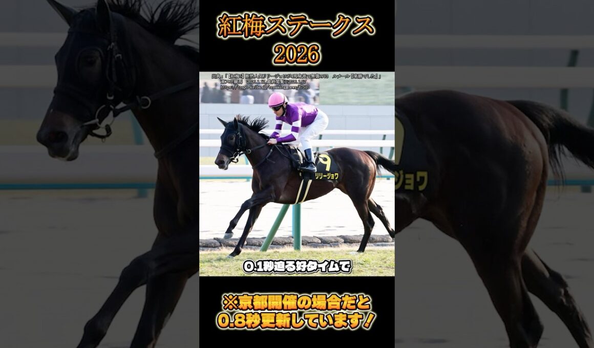 【紅梅S】リリージョワが桜花賞候補に名乗りか　#競馬 #馬 #競馬予想 #リリージョワ #ルメール #桜花賞 #日経新春杯 #京成杯
