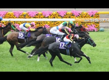 【レース回顧#57】2025ヴィクトリアマイル回顧~その末脚はノーザンファーム~