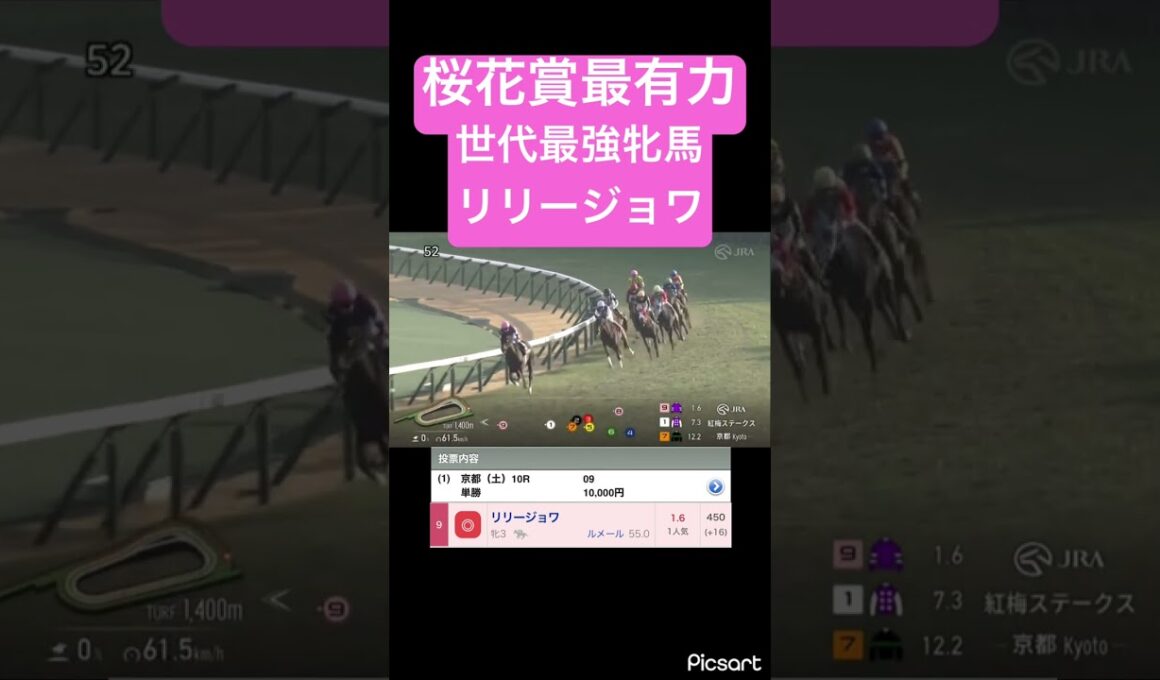 【桜花賞最有力】リリージョワが一気に世代最強牝馬候補に！　#競馬