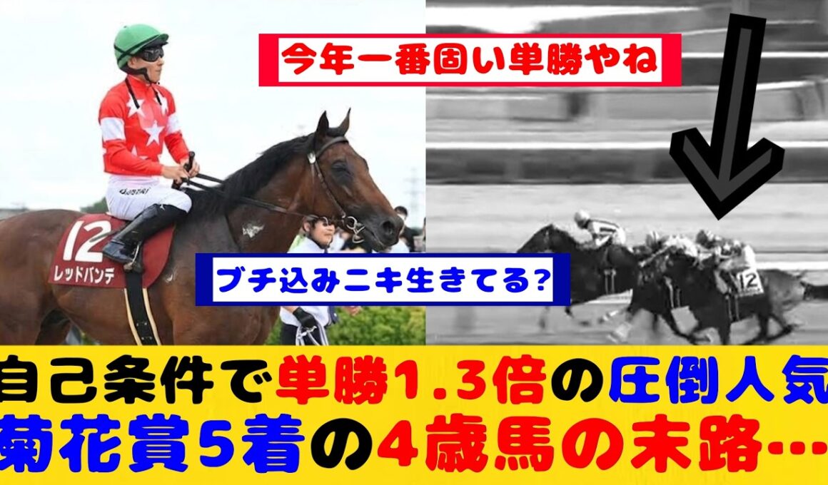 【競馬の反応集】菊花賞5着で単勝1.3倍の圧倒的人気 自己条件を走ったレッドバンデの末路が話題に！！【競馬】