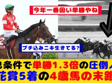 【競馬の反応集】菊花賞5着で単勝1.3倍の圧倒的人気 自己条件を走ったレッドバンデの末路が話題に！！【競馬】
