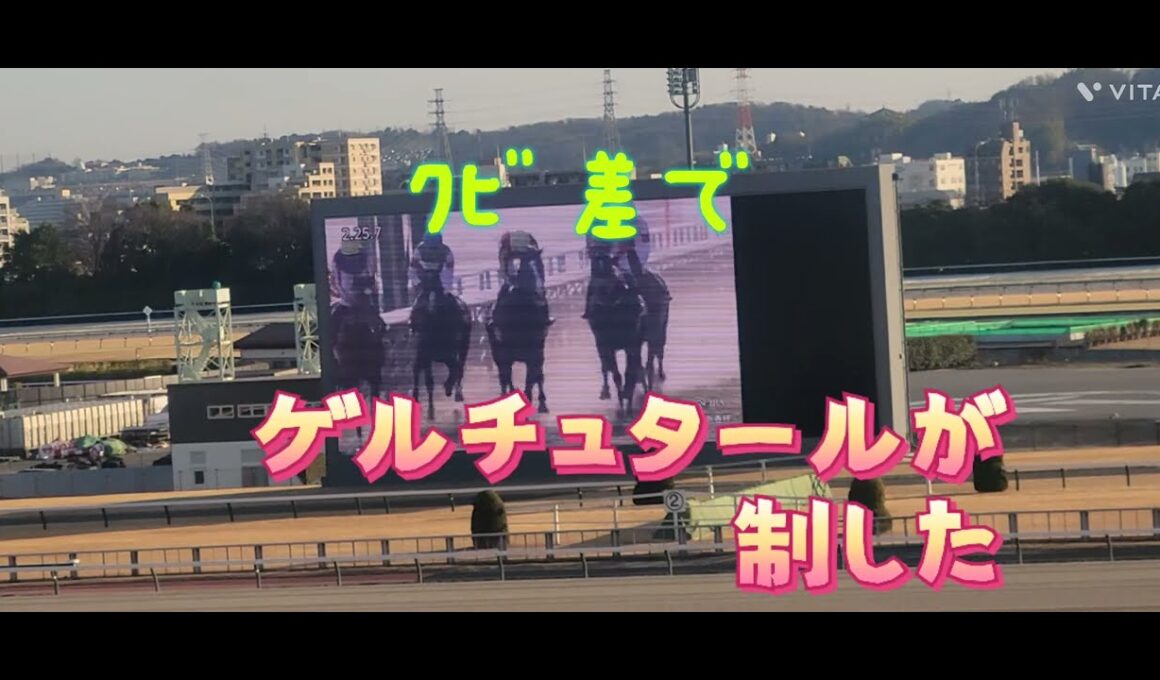 ゲルチュタールが日経新春杯(GⅡ)を優勝❗天皇賞(春)へ視界良好❗