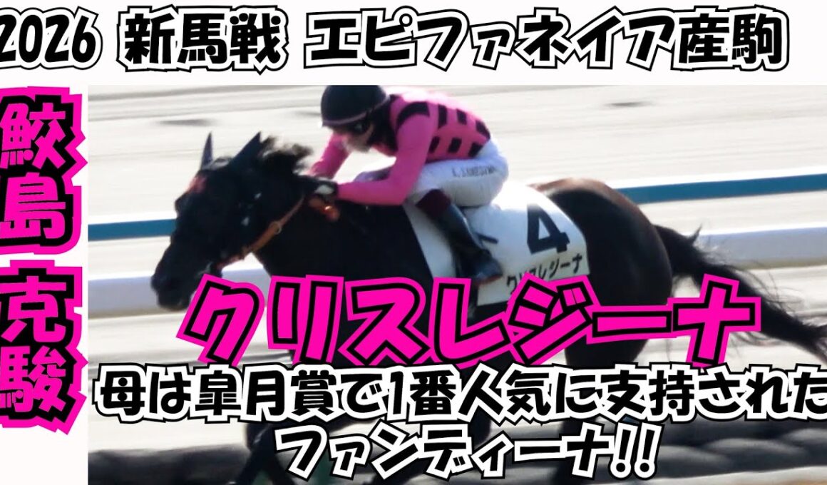 【新馬戦2026】母は皐月賞で1番人気に支持されたファンディーナの娘クリスレジーナが初戦を飾る‼ 現地映像