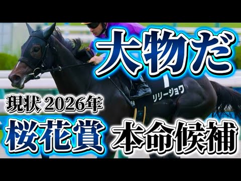 リリージョワについて 【桜花賞2026へ】#リリージョワ #桜花賞2026