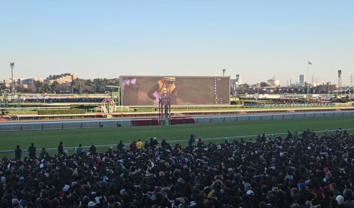 第70回有馬記念2025